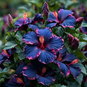 Гибискус Голден Глоу купить по цене от 259р. в интернет-магазине «Посадика» с доставкой почтой в в Керчье и по всей России – [изображение №1].